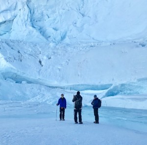 Some perspective on the glacier scene