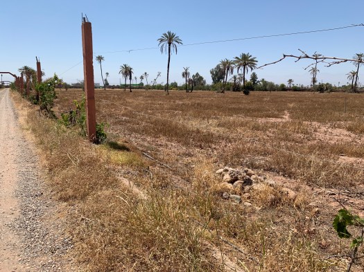 Future farm land outside the Mayshad walls.
