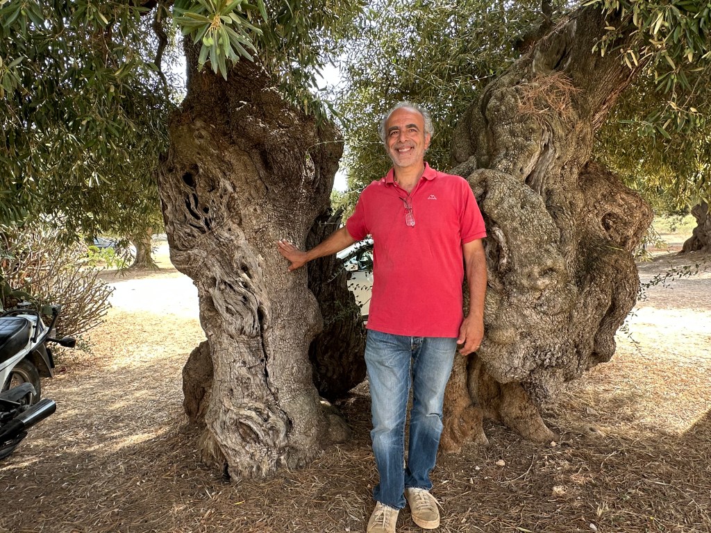 The elder olive producer and head of the business